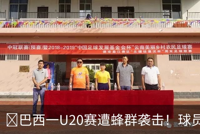 🐝巴西一U20赛遭蜂群袭击！球员裁判集体趴下！如何科学躲避？