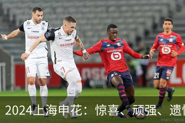 2024上海申花：惊喜、顽强、遗憾--明年拿冠军